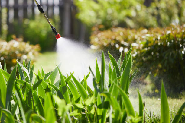 24/7 Emergency Wasp Removal experts in Omro, WI